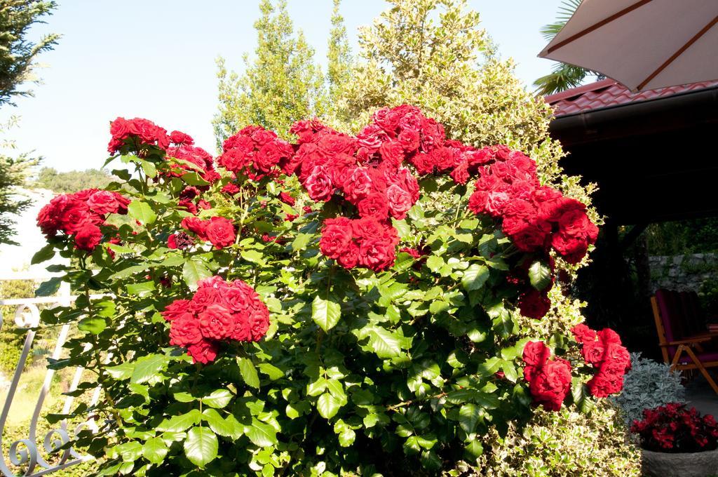 Bed & Breakfast Villa Klara Ичичи Номер фото